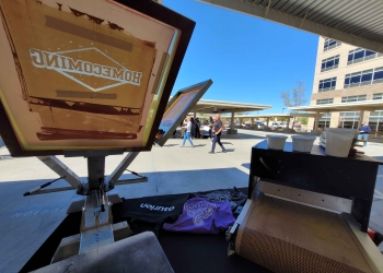 Festival and Brand Activations